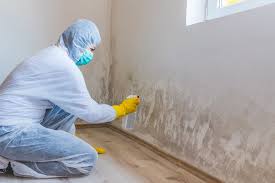 Trusted Louisiana, MO Mold Remediation Experts